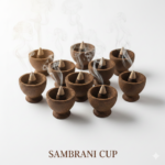 Gemini_Generated_Image_f57v11f57v11f57v